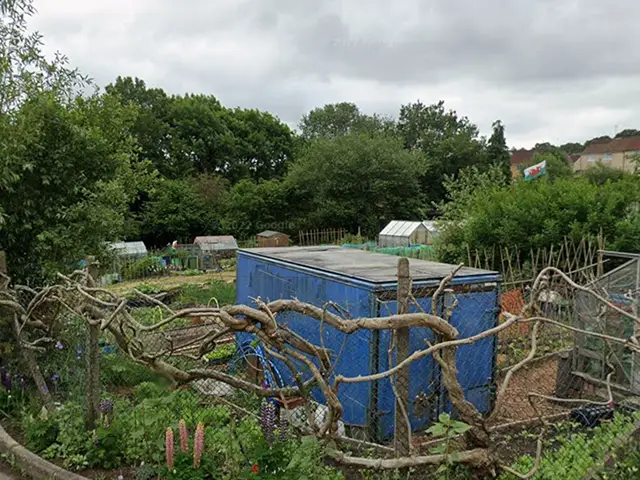 A view of the allotments near Lewis Street, Blackwood, pictured in June 2021