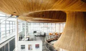 Senedd stock image