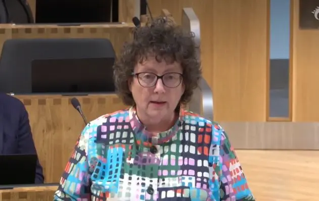 Finance minister Elin Jones