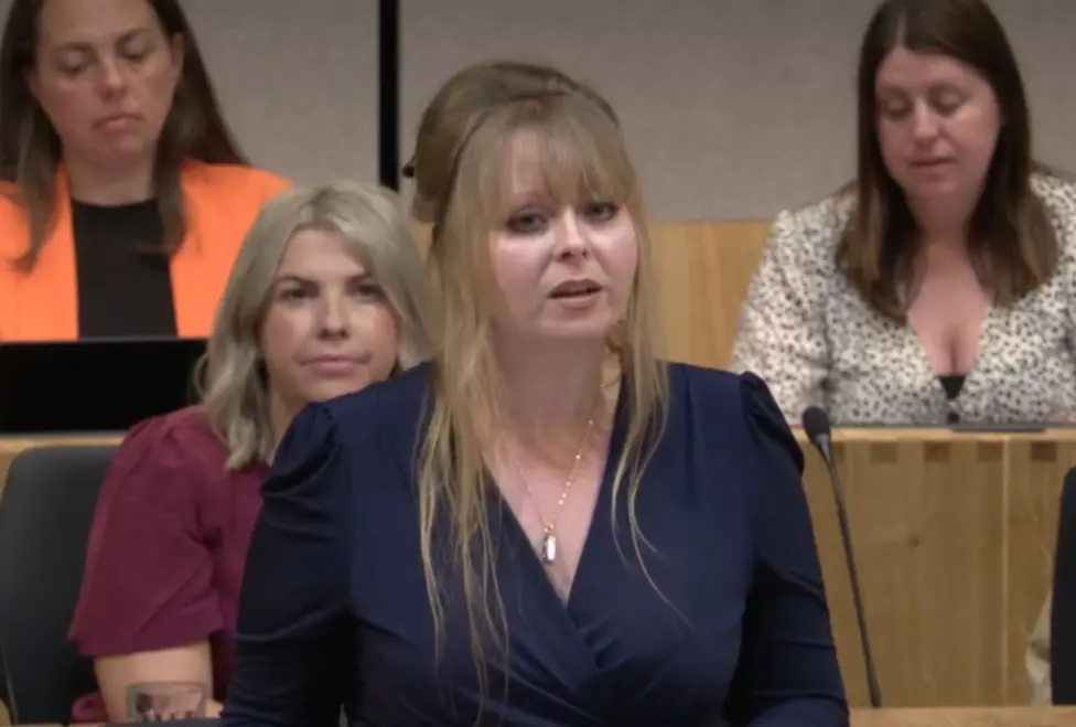 Blaenau Gwent Caerffili Rhymni MS Delyth Jewell, the deputy minister for social care, mental health, and women's health