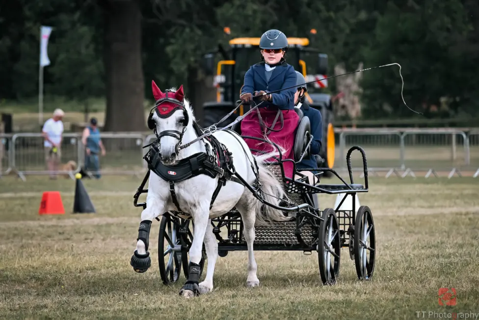 Lacey Llewellyn will be competing at the FEI Driving Youth Cup