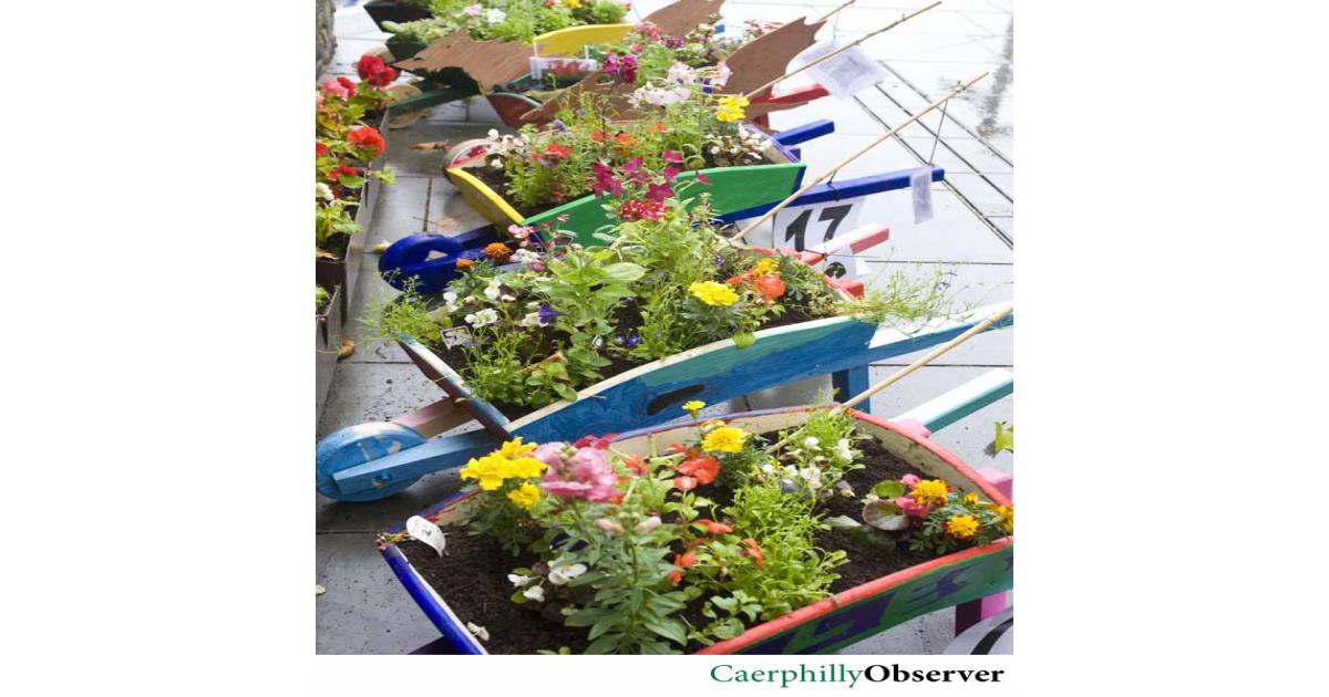 Children have chance to shine at Caerphilly Flower Festival